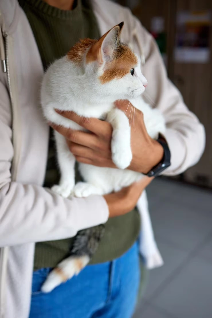 CFIA Endorsement and Government Paperwork Control