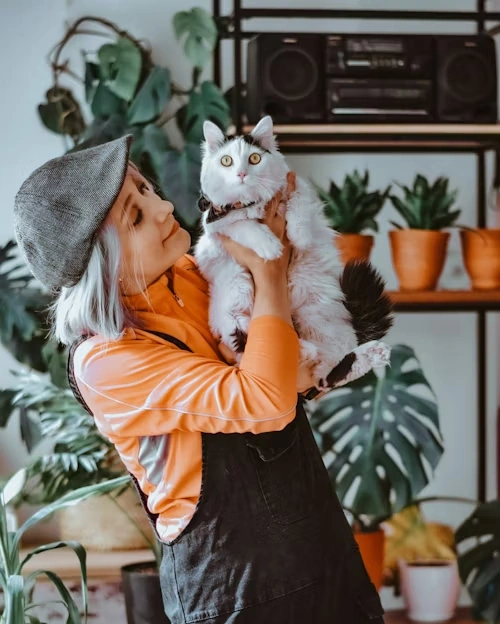 CFIA Export Endorsement Coordination