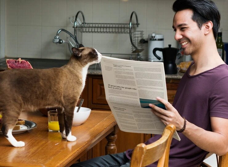 CFIA Export Documentation and Endorsement