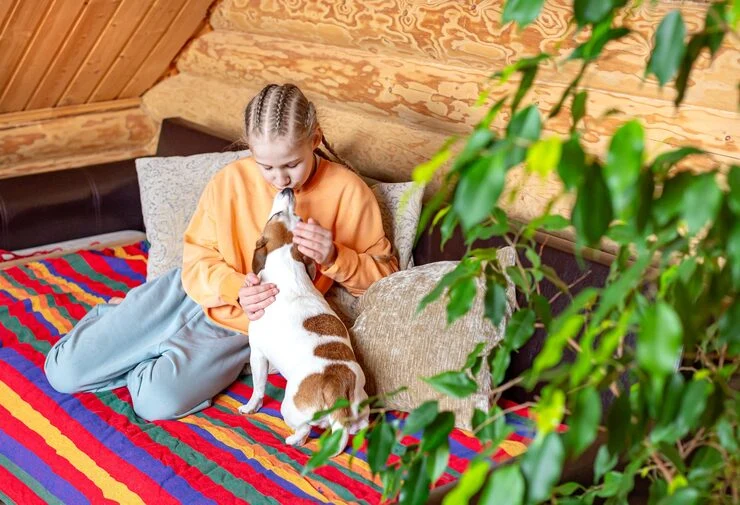 Cabin Preparation and Animal Comfort Planning