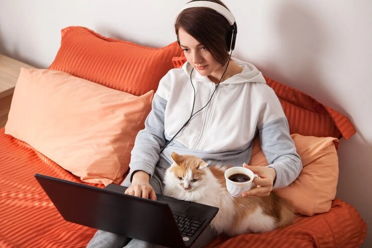 Cabin Setup and Onboard Pet Comfort Planning