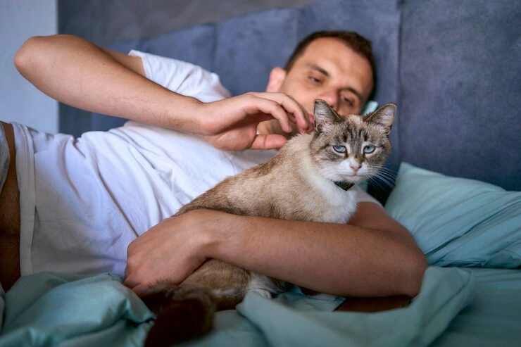 Canada to Netherlands Pet Travel Compliance Management