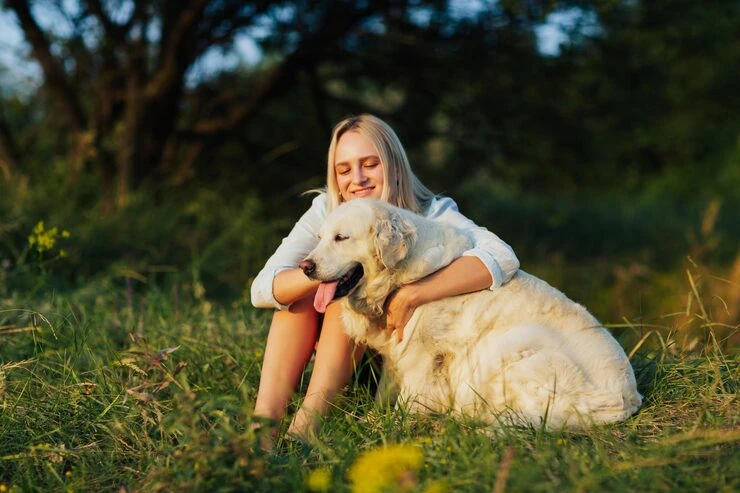 Canadian Export Compliance for Pets