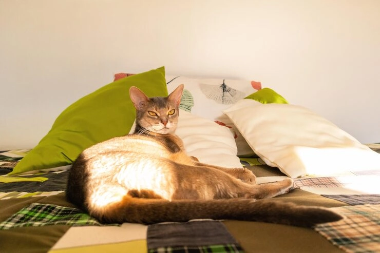 Canadian Export Documentation Management