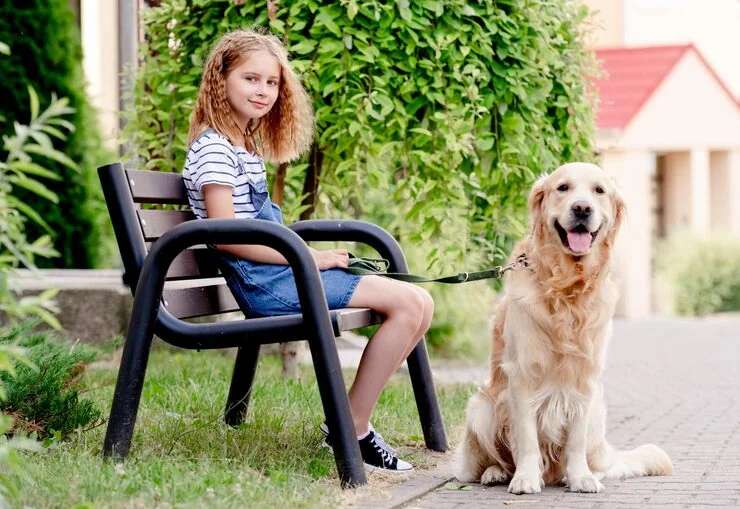 Canadian Export Documentation and Veterinary Clearance