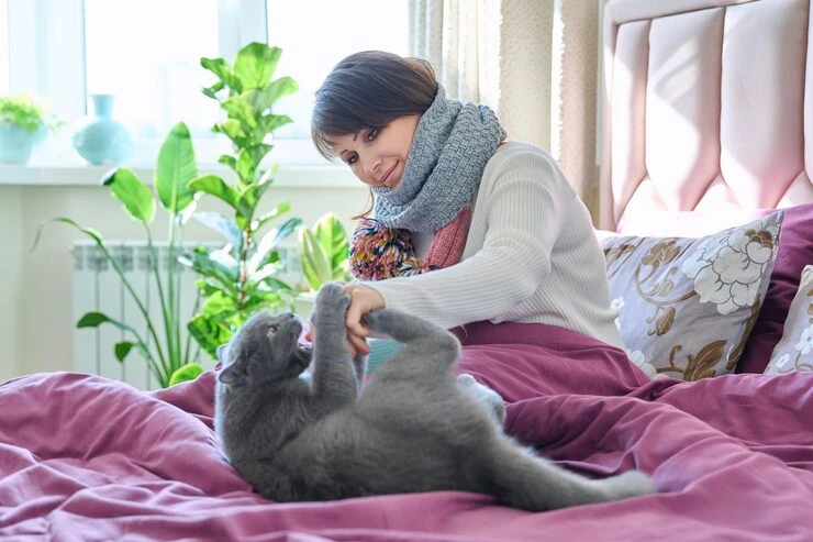 Canadian Export Permit and Authority Clearance Handling