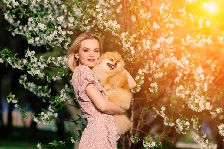 Canadian Export Procedures for Live Animals