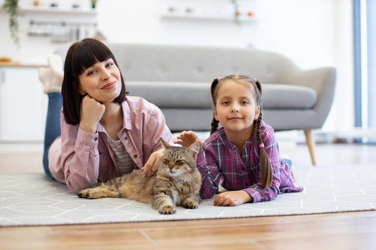 Consultation and Guidance for International Pet Owners