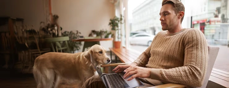 Contingency Planning for Delays and Regulatory Shifts