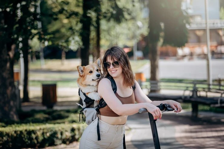 Corporate Pet Relocation Services From Canada to Austria 