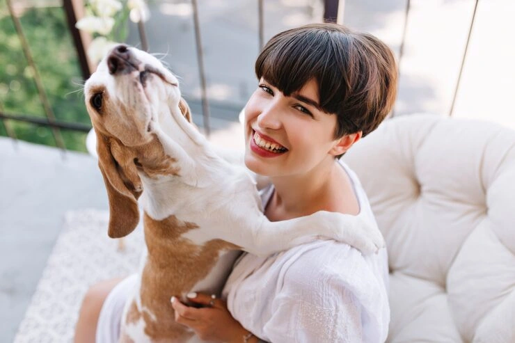 Corporate Pet Relocation Services From Canada to Croatia ​