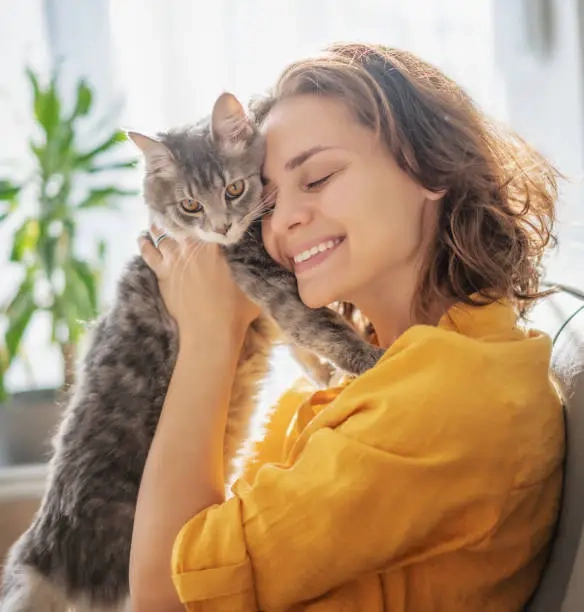 Corporate Pet Relocation Services From Canada to England