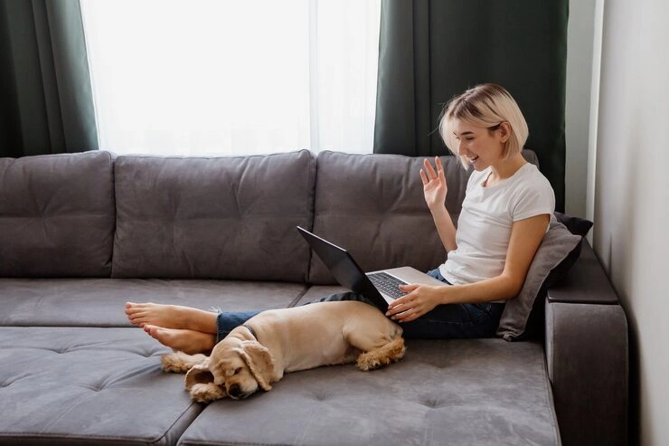 Corporate Pet Relocation Services From Canada to Germany 