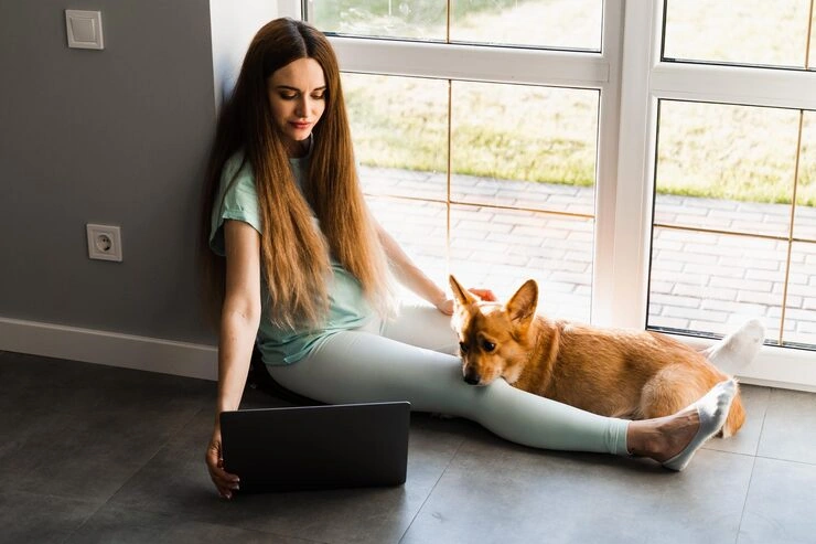 Corporate Pet Relocation Services From Canada to Ireland 