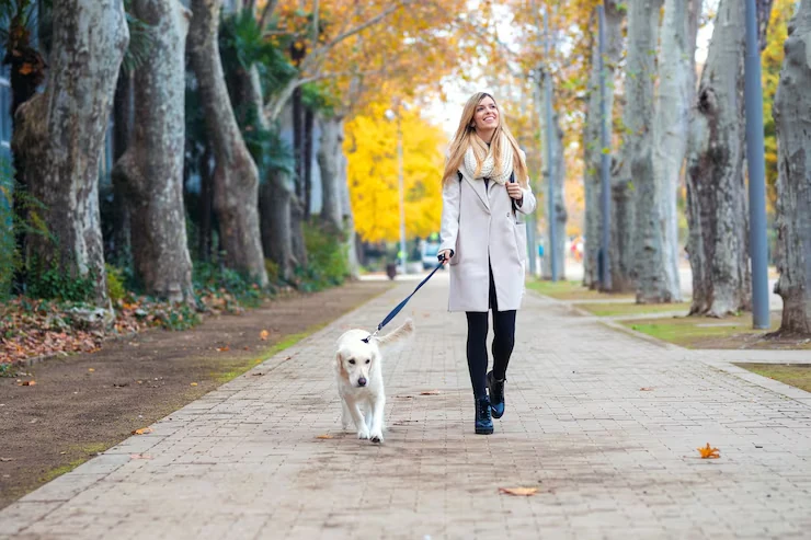 Corporate Pet Relocation Services From Canada to Switzerland