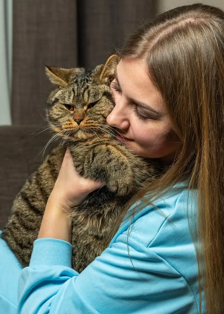 Customs Clearance & Entry into Greece