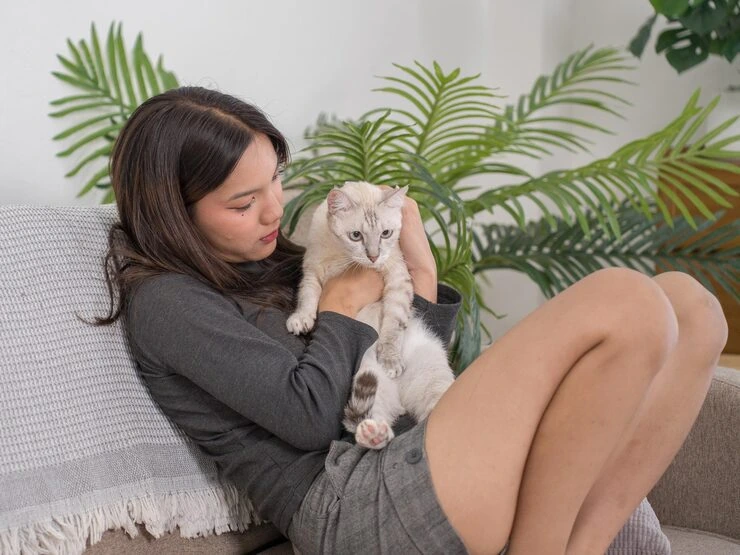 Customs Clearance Support in Ukraine