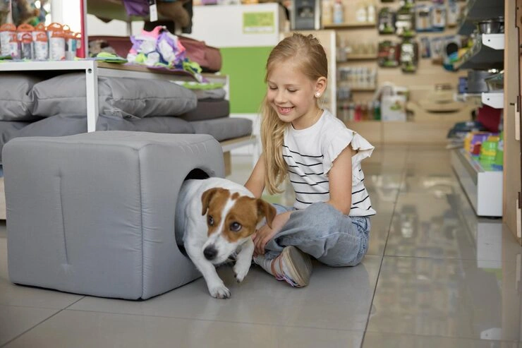 Customs Clearance and Arrival Handling in France​