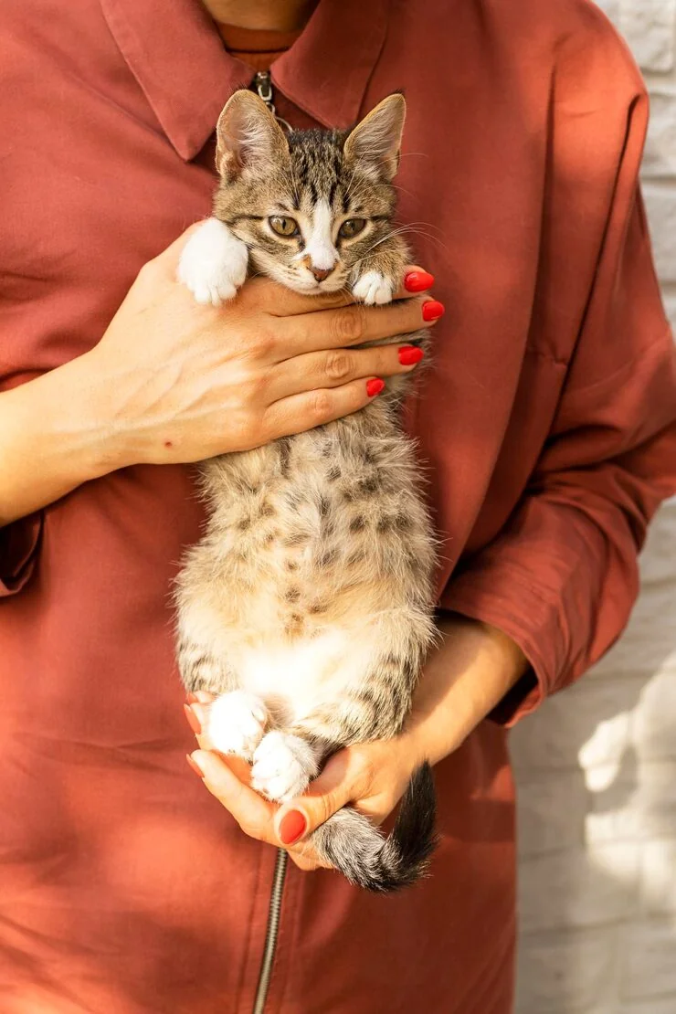 Customs Clearance and Entry in the Czech Republic​