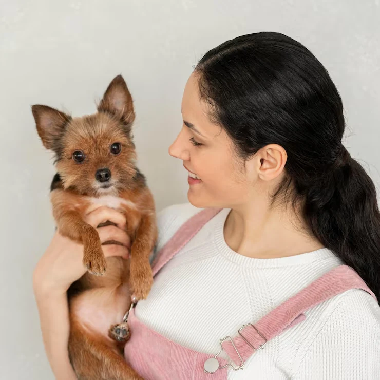 Danish Import Clearance and EU Entry Preparation