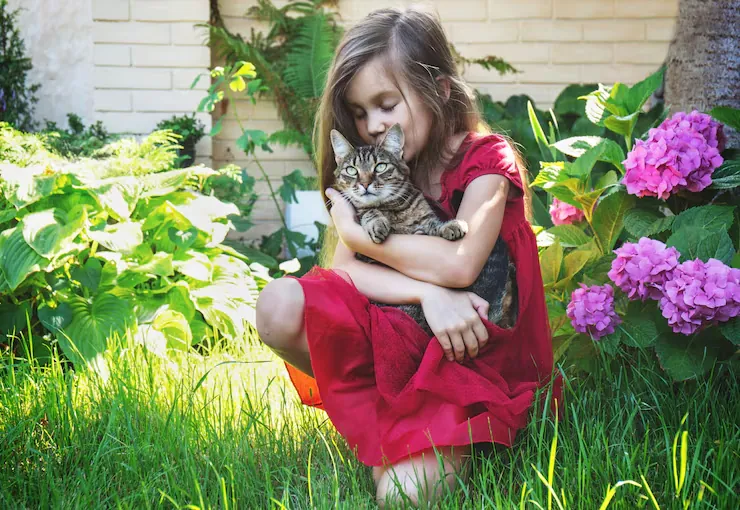 Detailed Pre-Move Consultation and Planning