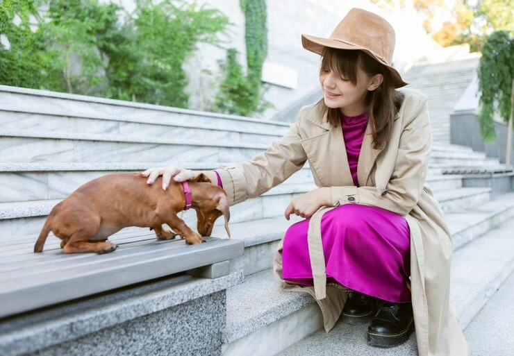 Diplomatic Pet Relocation Services From Canada to France