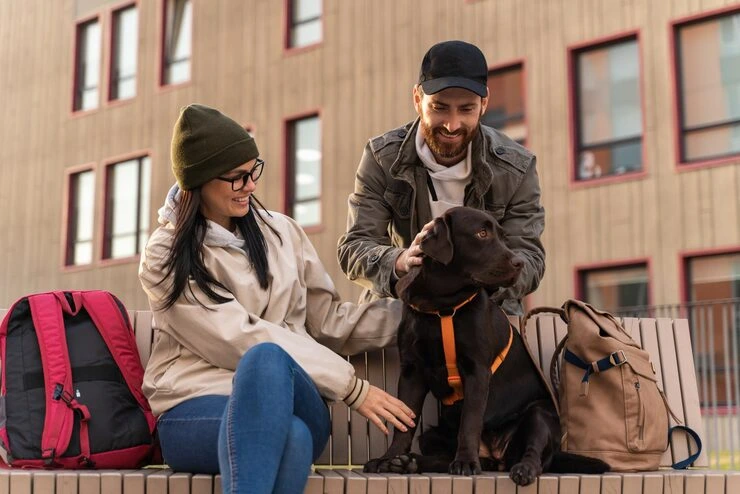 Diplomatic Pet Relocation Services From Canada to the Netherlands