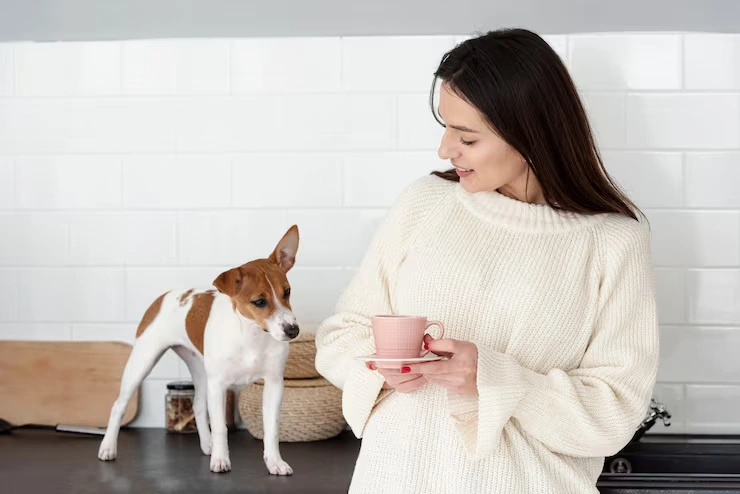 Diplomatic Pet Relocation Services From Canada to Croatia