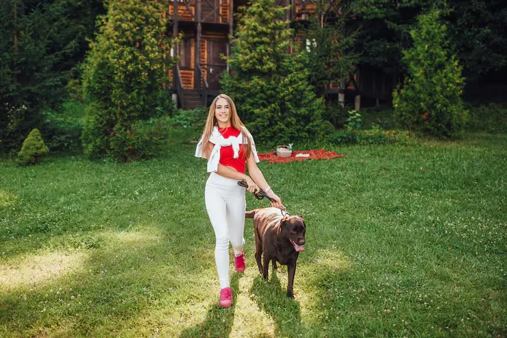 Diplomatic Pet Relocation Services From Canada to Finland​