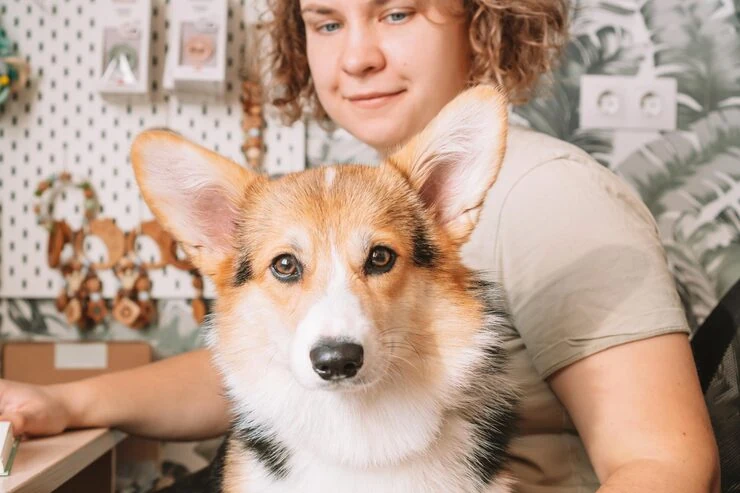 Diplomatic Pet Relocation Services From Canada to Iceland