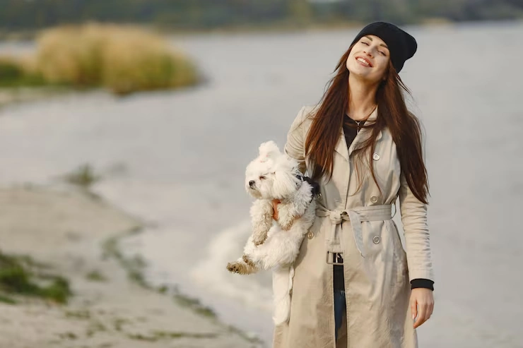 Diplomatic Pet Relocation Services From Canada to Romania