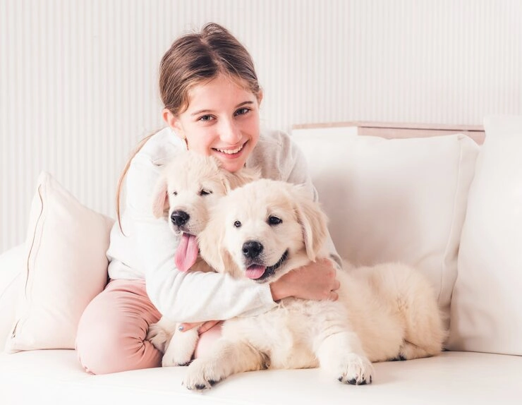 Diplomatic and Corporate Relocation Coordination