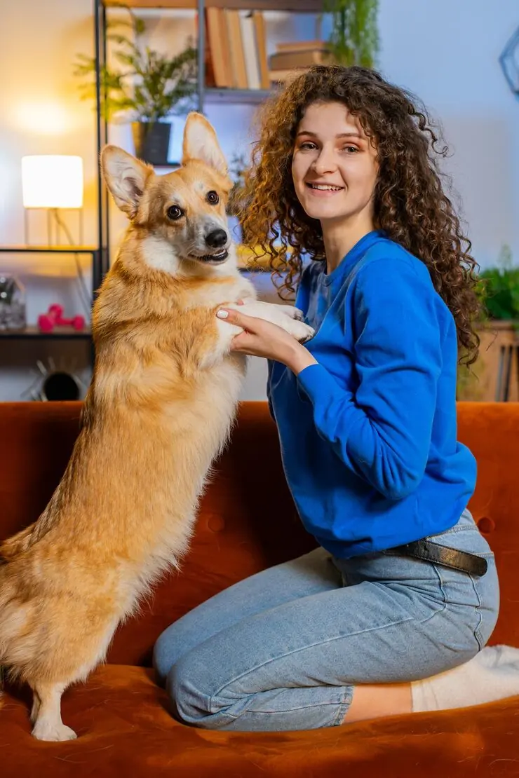 Diplomatic and Government Relocation Coordination