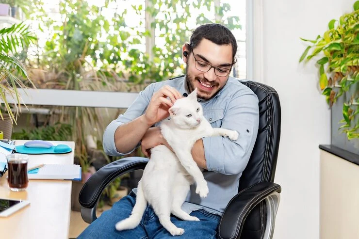 Documentation Management and Customs Clearance