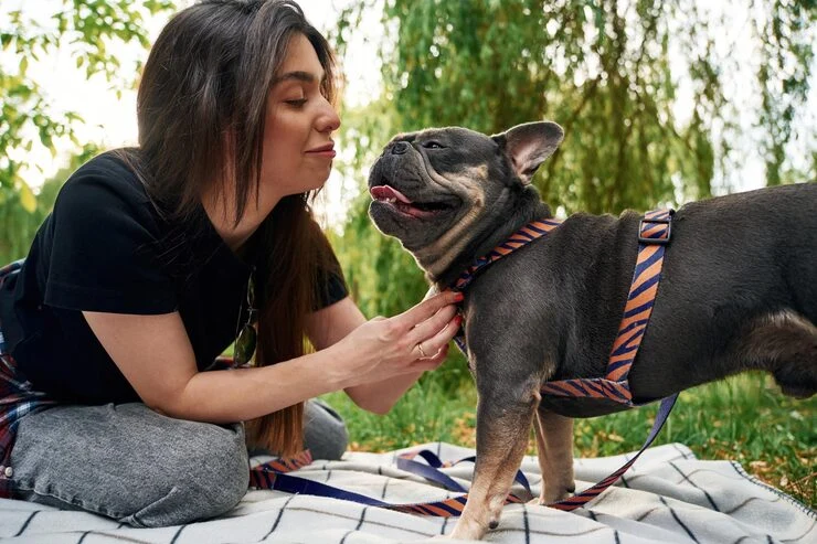 Dog Relocation Services From Canada to France