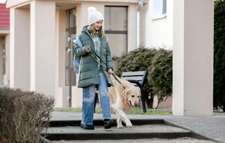 Door To Door Pet Relocation Services From Canada to Ireland