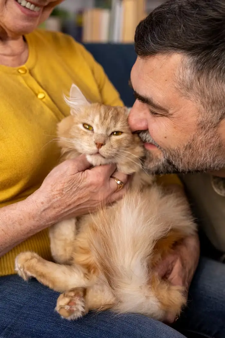 Door-to-Door Corporate Pet Relocation Logistics