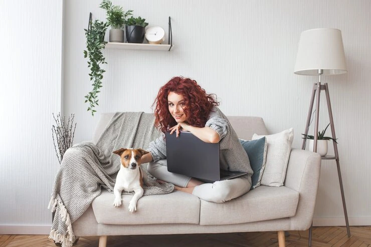 Door-to-Door Ground Transport in Canada and Ireland