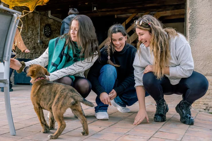 Door to Door Pet Relocation Services From Canada to Poland