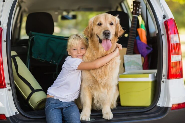 Door to Door Pet Relocation Services From Canada to the Netherlands