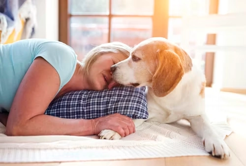 Door to Door Pet Relocation Services From Canada to England