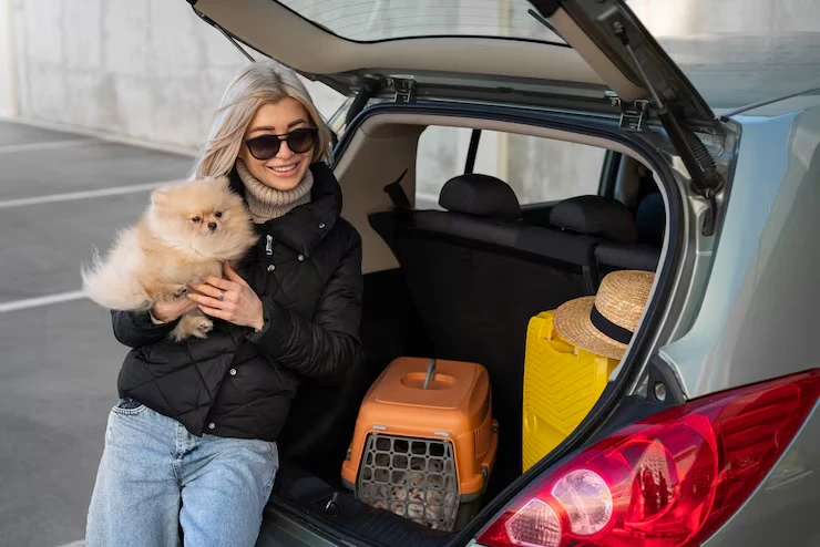 Door to Door Pet Relocation Services From Canada to Italys