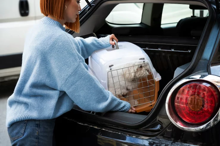 Door to Door Pet Relocation Services From Canada to Switzerlands
