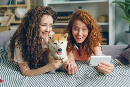 Door to Door Pet Relocation Services From Canada to the UK