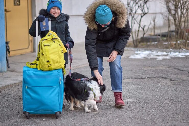 Door to Door Pet Relocation Services From Canada to Iceland