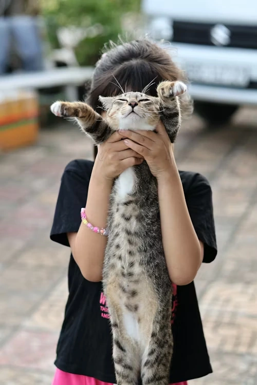 Door-to-Door Pet Transport Coordination