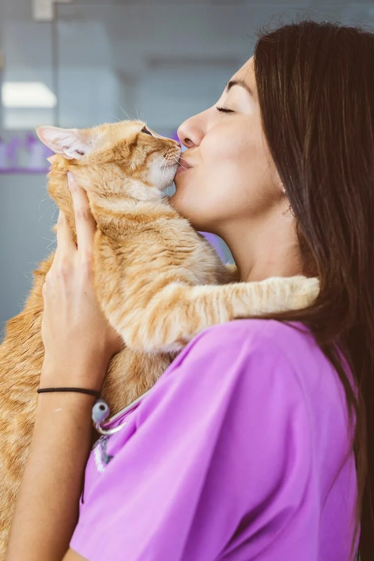 Door-to-Door Pet Transport Coordination​