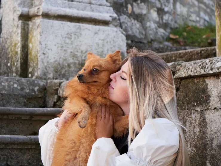 Door-to-Door Pet Transport Logistics