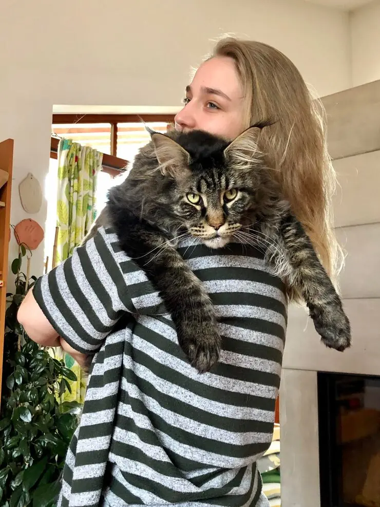 Door-to-Door Pet Transport Management