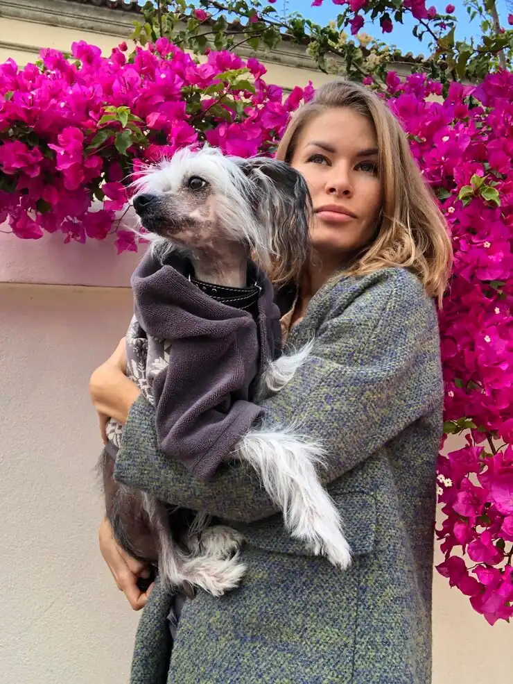 Door-to-Door Relocation Management